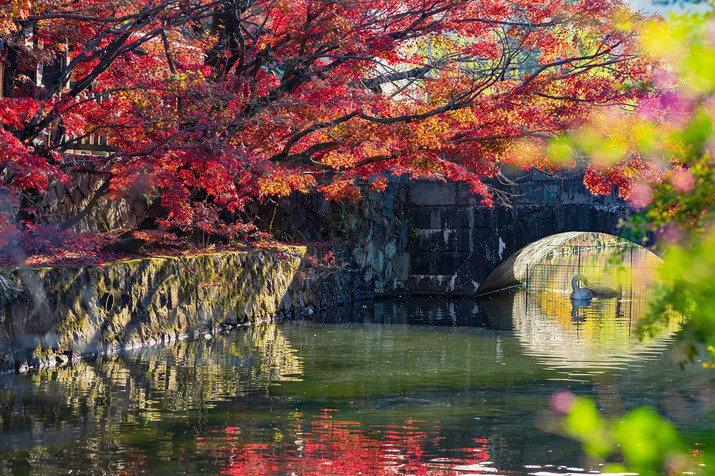 Half-day (PM) Kurashiki Tour: Bikan Historical Quarter