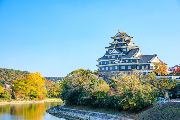 Half-day (AM) Okayama Tour: Castle and Garden