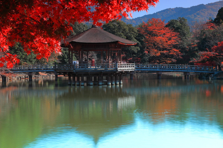 Nara Morning Tour: Kasuga Taisha Shrine, Whispering Path, and Ukimi-do Hall