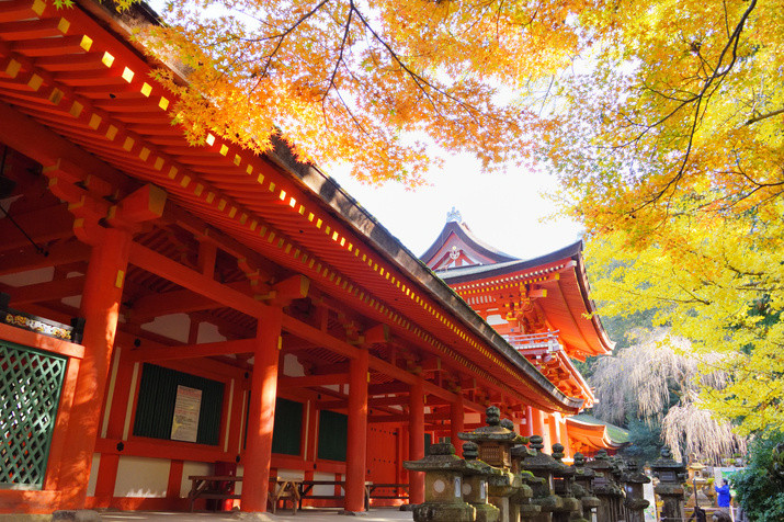 Nara Morning Tour: Kasuga Taisha Shrine, Whispering Path, and Ukimi-do Hall