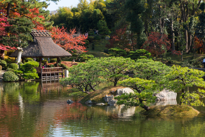 Half-day (PM) Tour: Exploring Hiroshima's Peace and Tranquility