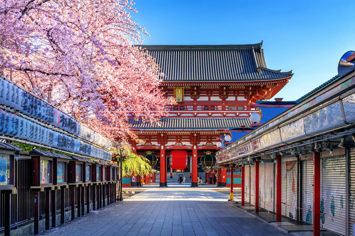 1-day Tokyo Highlight Tour: SKYTREE, Imperial Palace, Temple, Shrine, and Shibuya