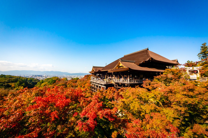 1-day Eastern Kyoto Tour: Temples, Gardens, World Heritage Site