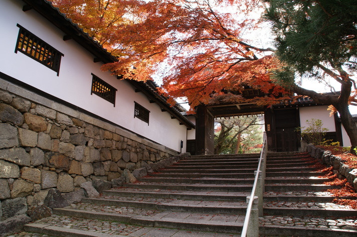 1-day Eastern Kyoto Tour: Temples, Gardens, World Heritage Site