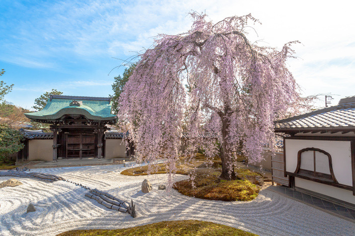 1-day Eastern Kyoto Tour: Temples, Gardens, World Heritage Site